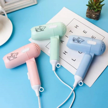 Fashion hair dryer...