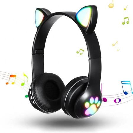 Cats ears headphone...