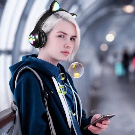 Cats ears headphone...