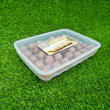 34 grid egg box...