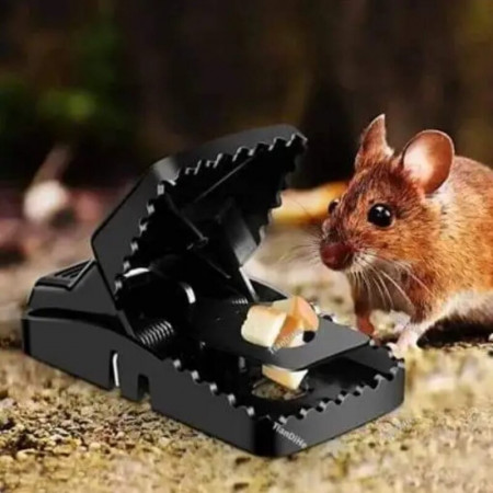  Mouse Killer Trap R...