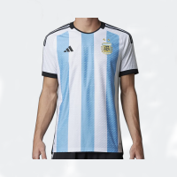 ARGENTINA 22 HOME AU...
