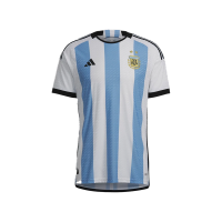 ARGENTINA 22 HOME AU...