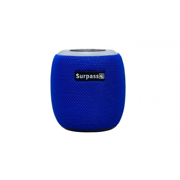 Surpass Wireless Speaker H309