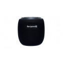 Surpass Wireless Speaker H309