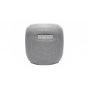 Surpass Wireless Speaker H309