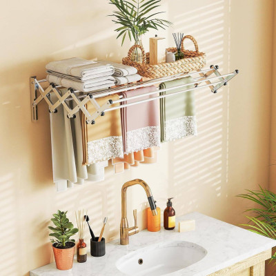 Wall Mounted Clothes...